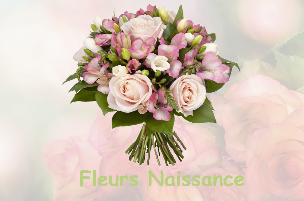 fleurs naissance CHISSEY-SUR-LOUE